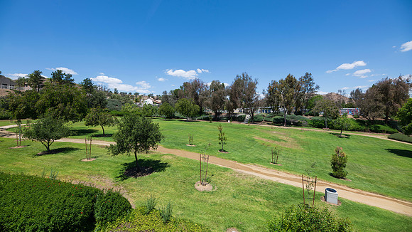 Breezeway View