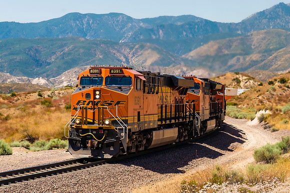 BNSF 8391