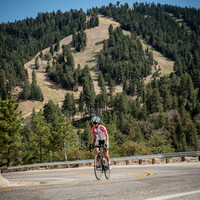Big Pines