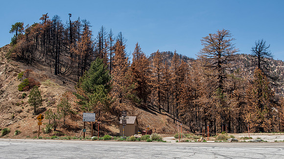 Islip Saddle