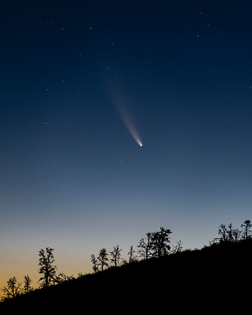Neowise Comet rising above Circle Mountain