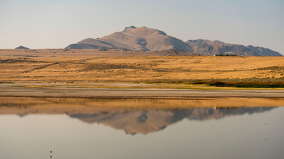 Antelope Island, Utah