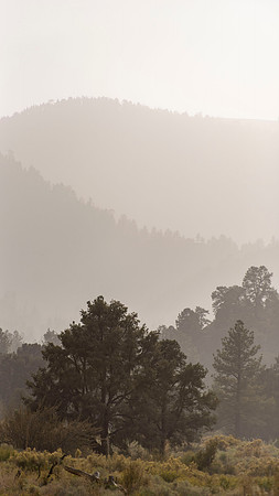 Wrightwood