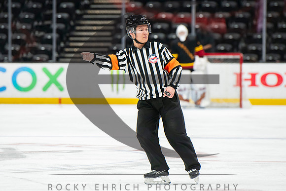 D85_3905