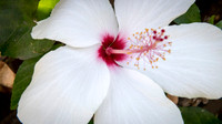 aGrandma_14